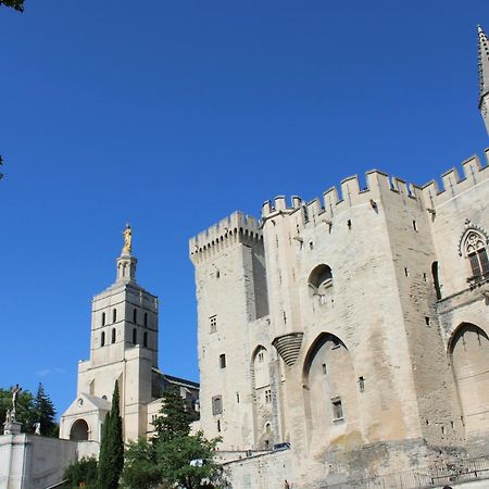 Le Petit Avignon - Chambres & Appartement A Deux Pas Du Pont D'Avignon Et Du Palais Des Papes Екстер'єр фото