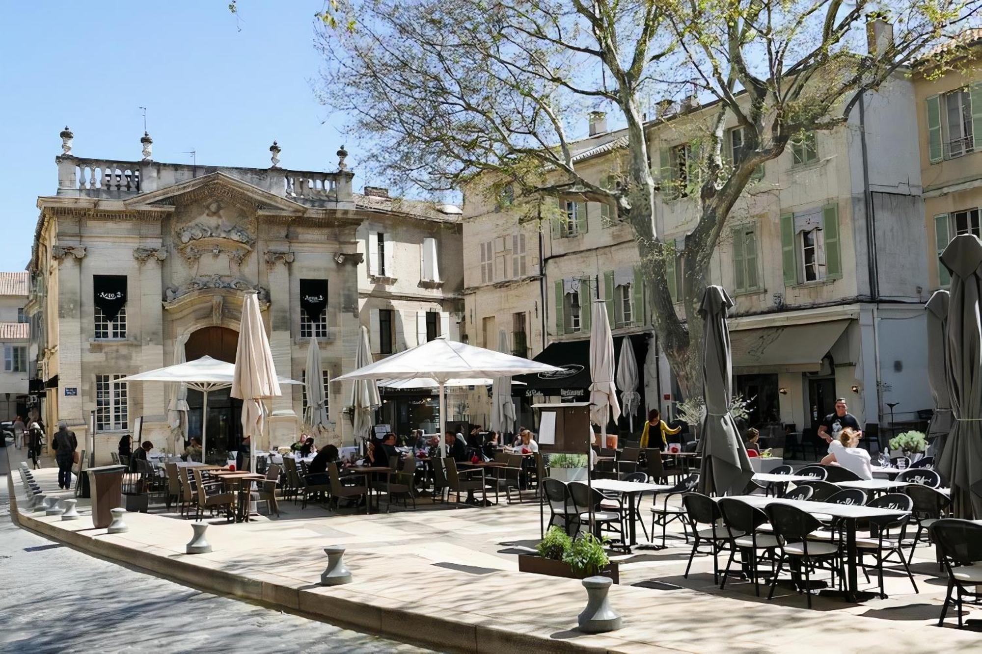 Le Petit Avignon - Chambres & Appartement A Deux Pas Du Pont D'Avignon Et Du Palais Des Papes Екстер'єр фото