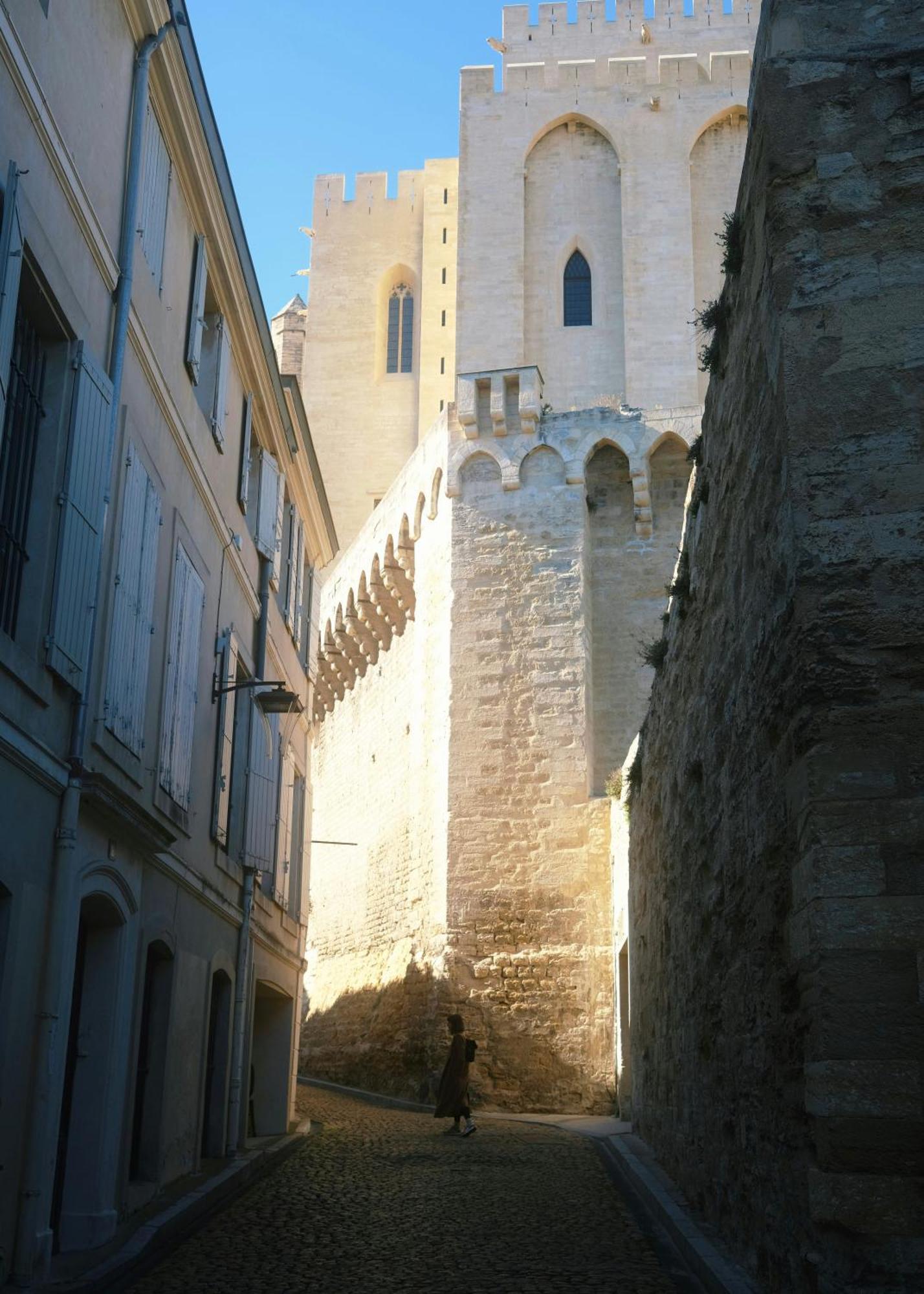 Le Petit Avignon - Chambres & Appartement A Deux Pas Du Pont D'Avignon Et Du Palais Des Papes Екстер'єр фото